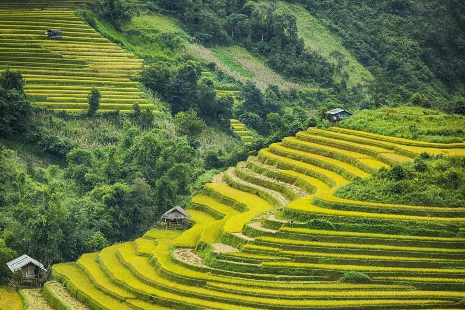 KHÁM PHÁ DI TÍCH LỊCH SỬ VÀ THIÊN NHIÊN HÙNG VĨ TÂY BẮC