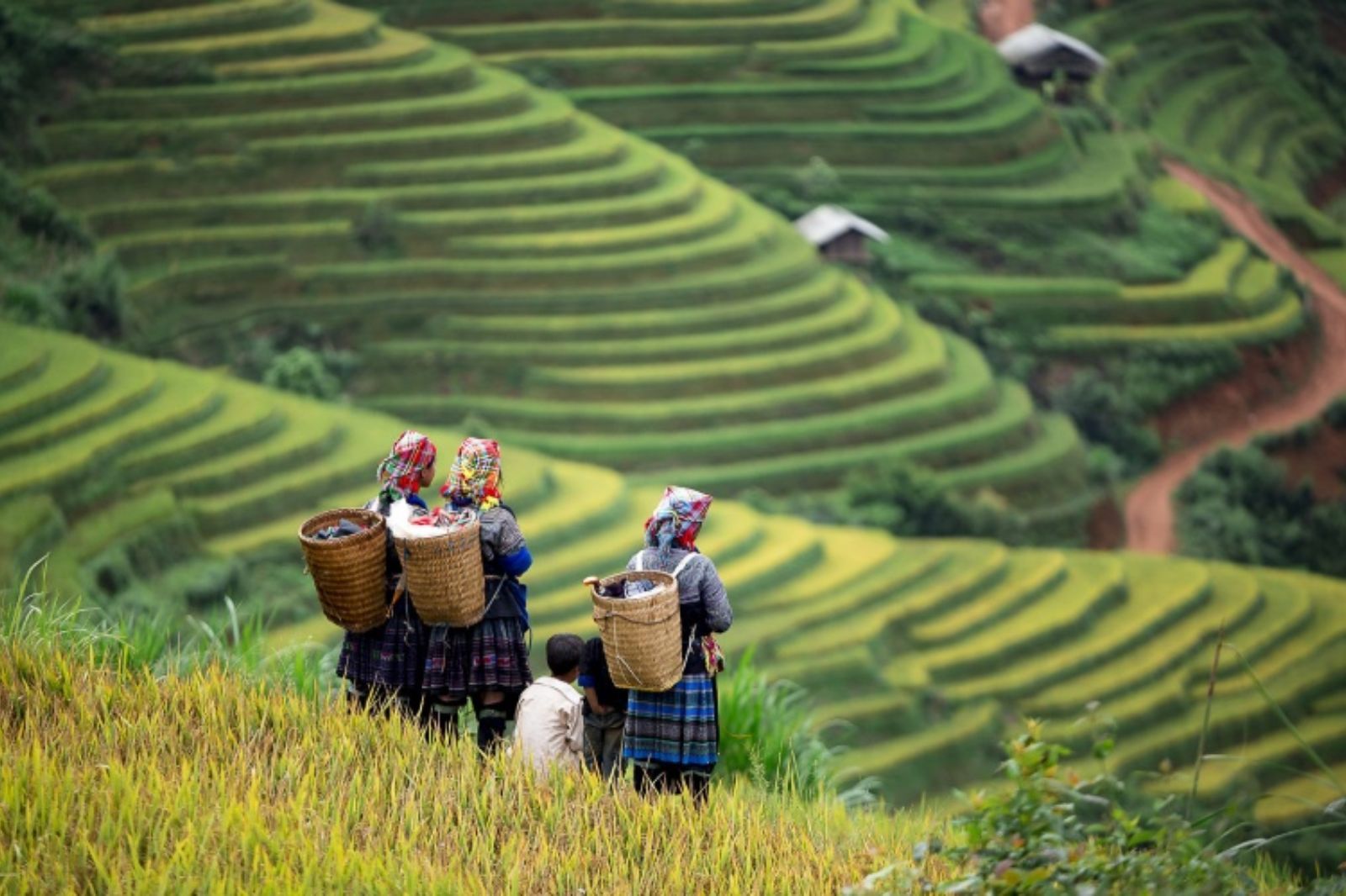KHÁM PHÁ DI TÍCH LỊCH SỬ VÀ THIÊN NHIÊN HÙNG VĨ TÂY BẮC