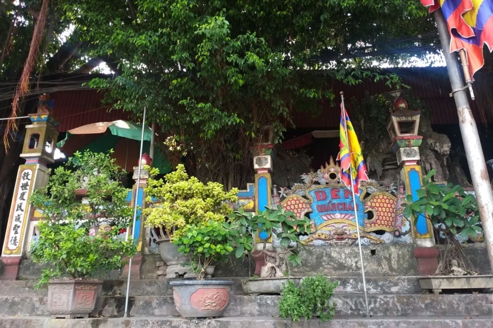 3 cây cổ thụ trước sân đền