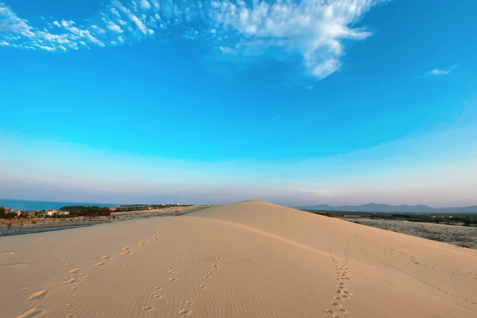 5XX (1600 x 1066 px) (7).png