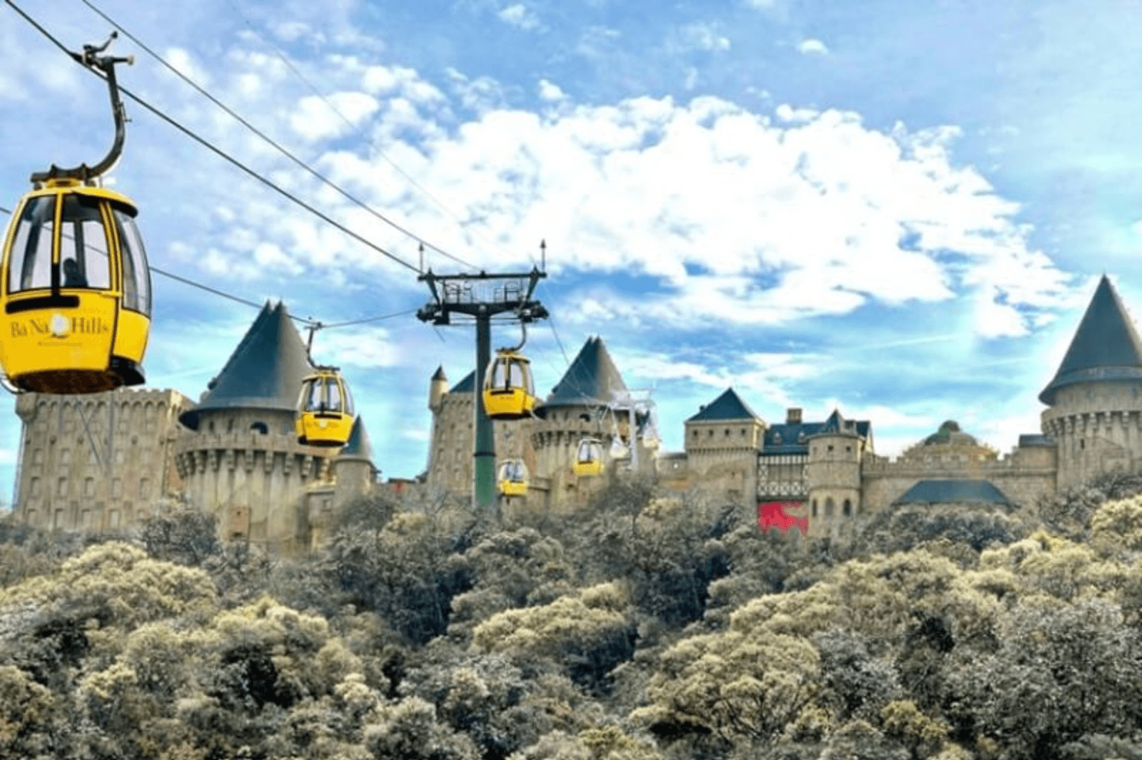 5XX (1600 x 1066 px) (8).png