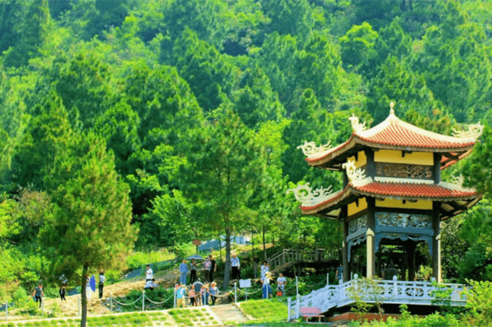 Bạn có thể tham khảo các tour nếu đi theo đoàn 