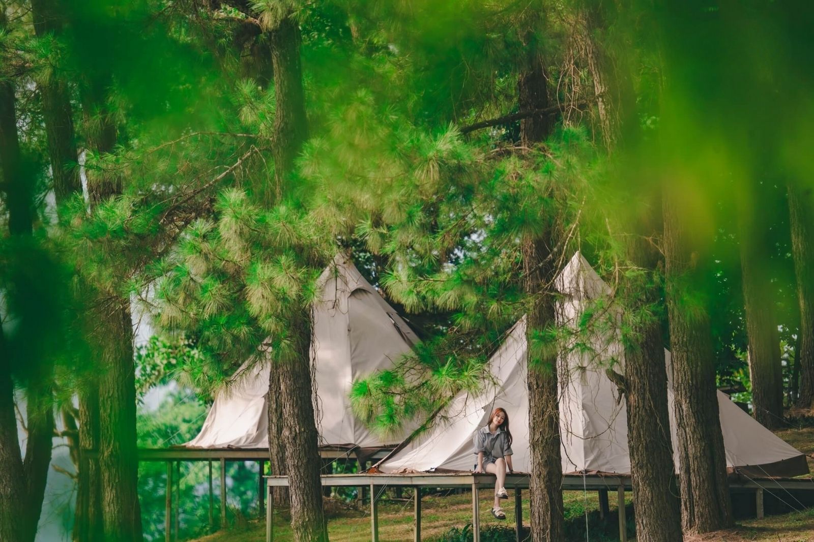 Bản giao hưởng tuyệt vời của thiên nhiên hoang sơ