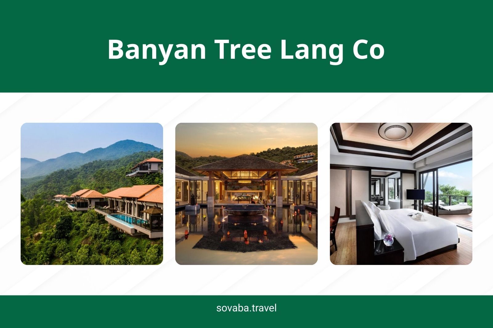 Banyan Tree Lang Co