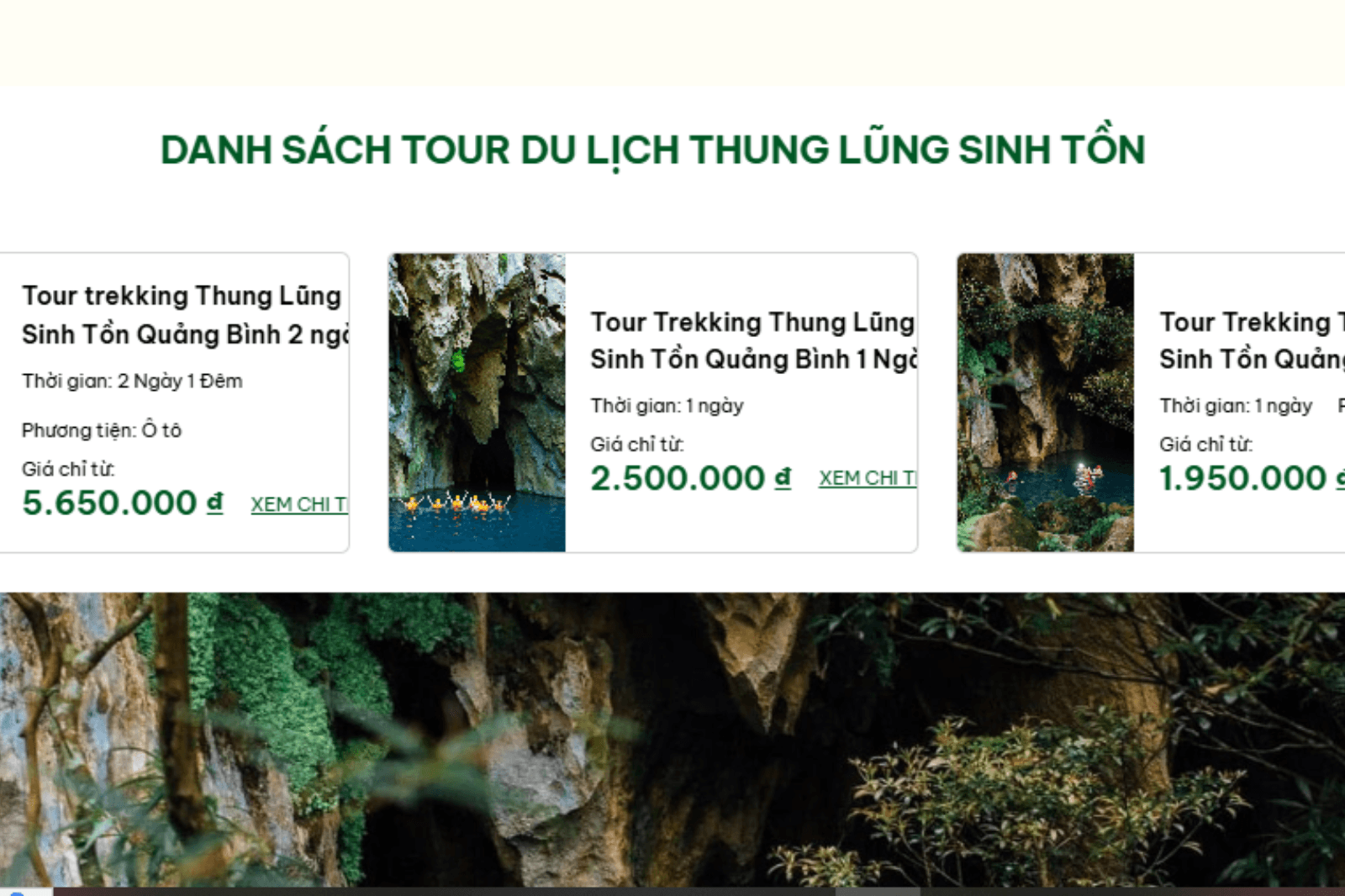 Các tour đa dạng phù hợp với nhu cầu khám phá của từng người