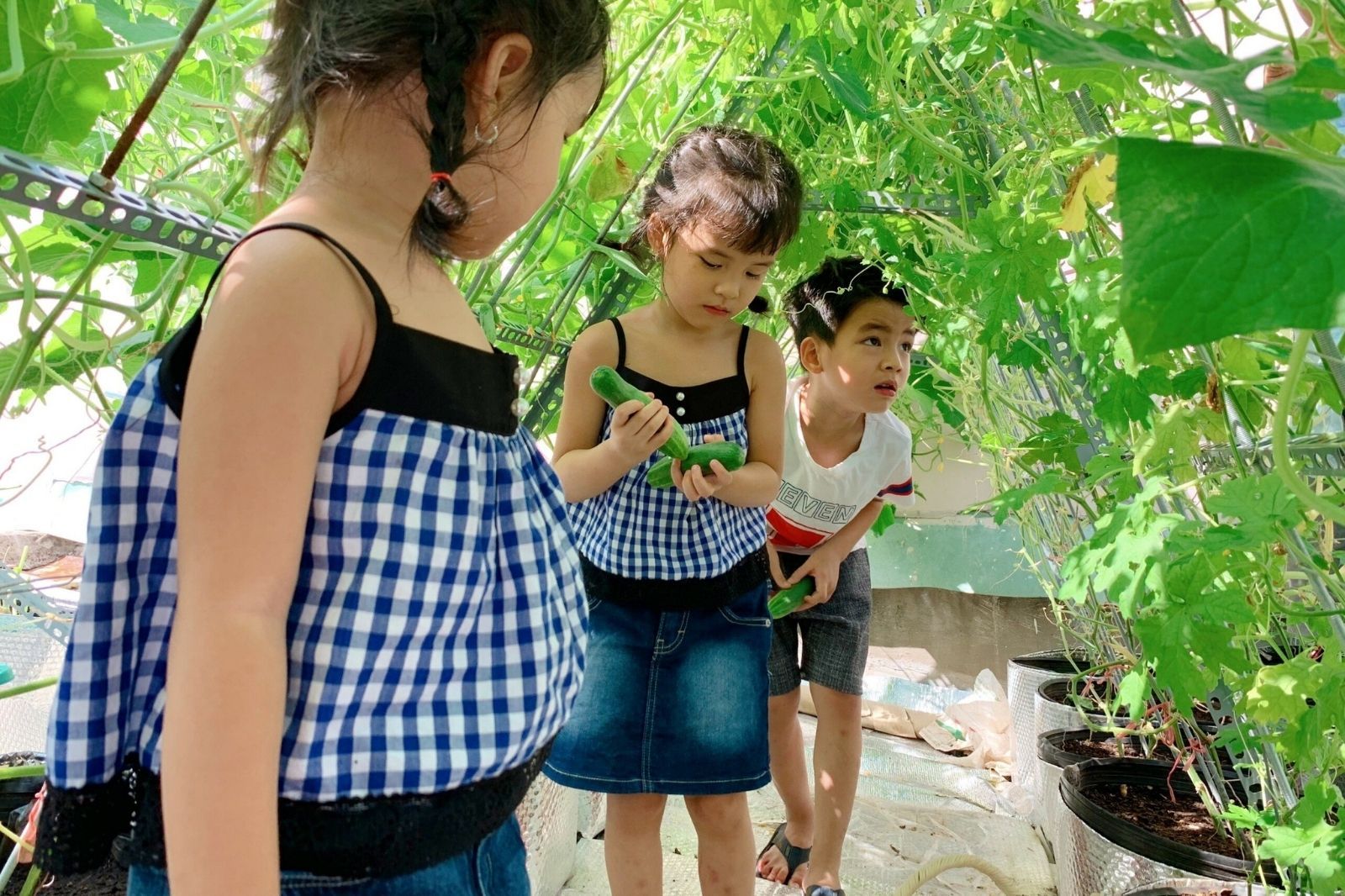 Cẩm nang du lịch an toàn với trẻ nhỏ