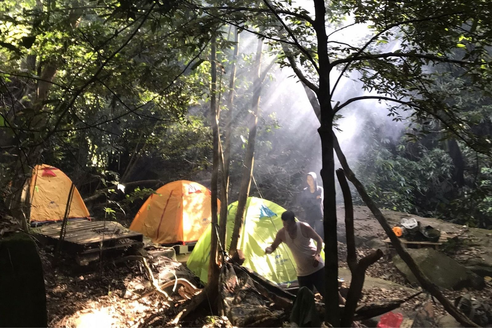 Cắm trại ở dưới tán rừng già