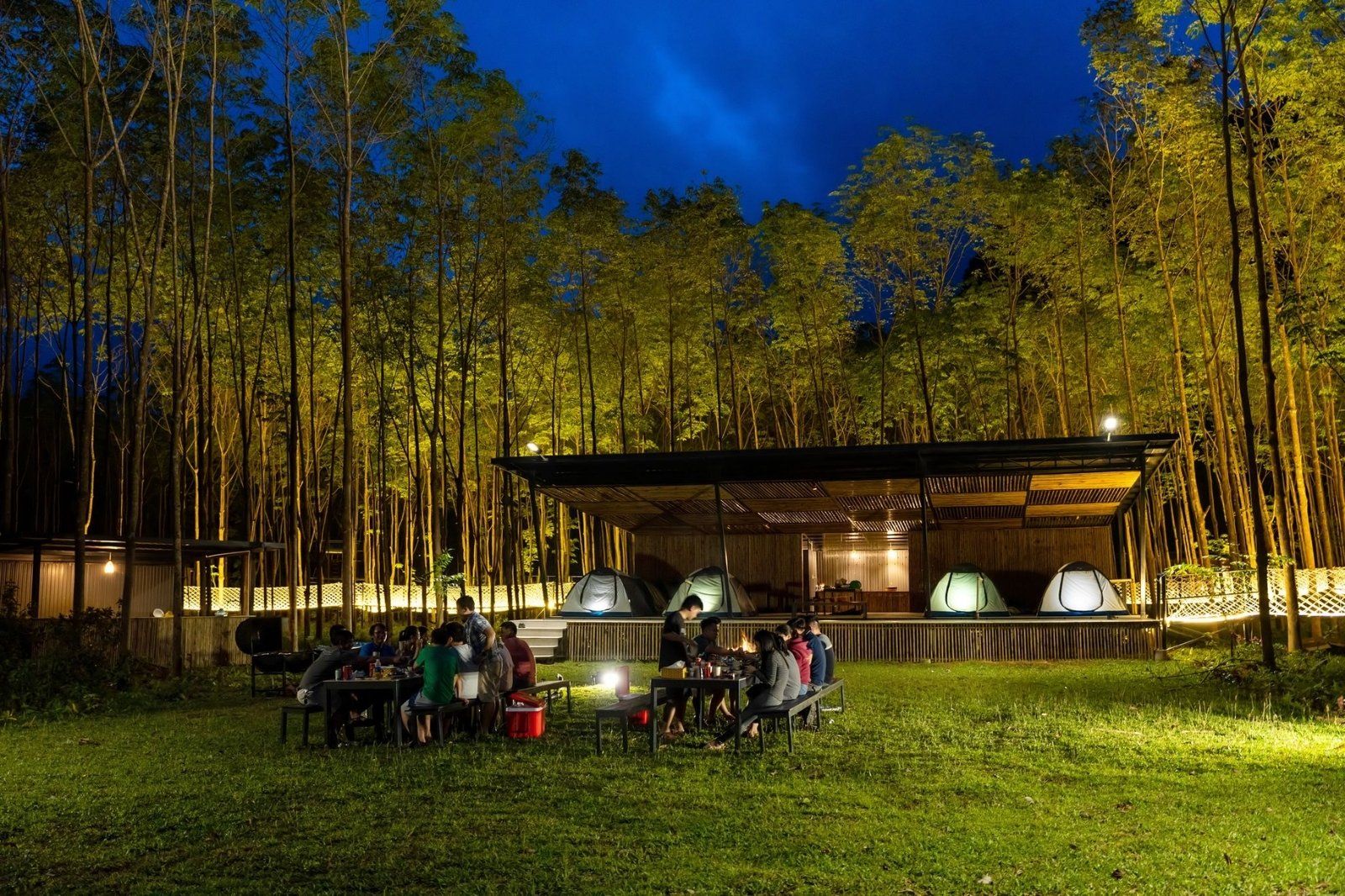 Camping & Glamping giữa núi rừng Phong Nha