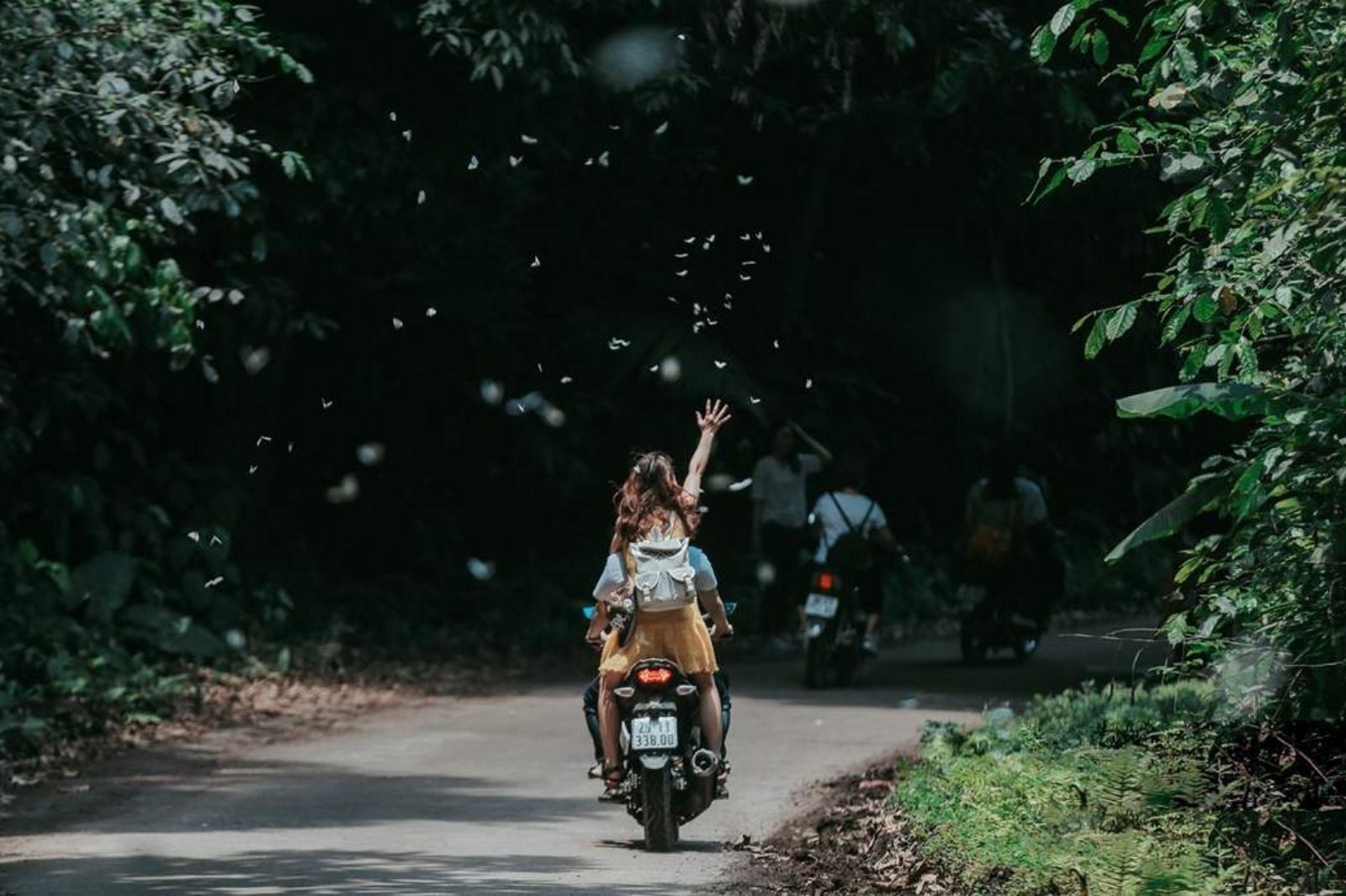 Chạm tay vào những cánh bướm trong Vườn Quốc Gia