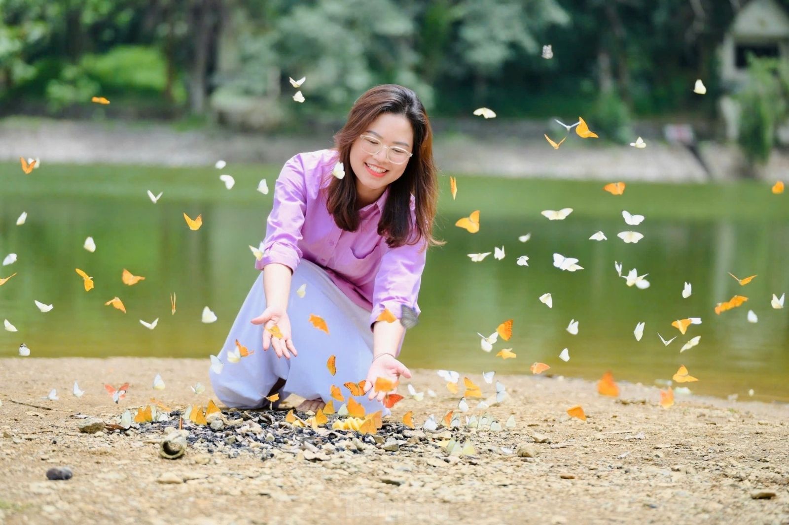 Check-in ấn tượng với đàn bướm Cúc Phương