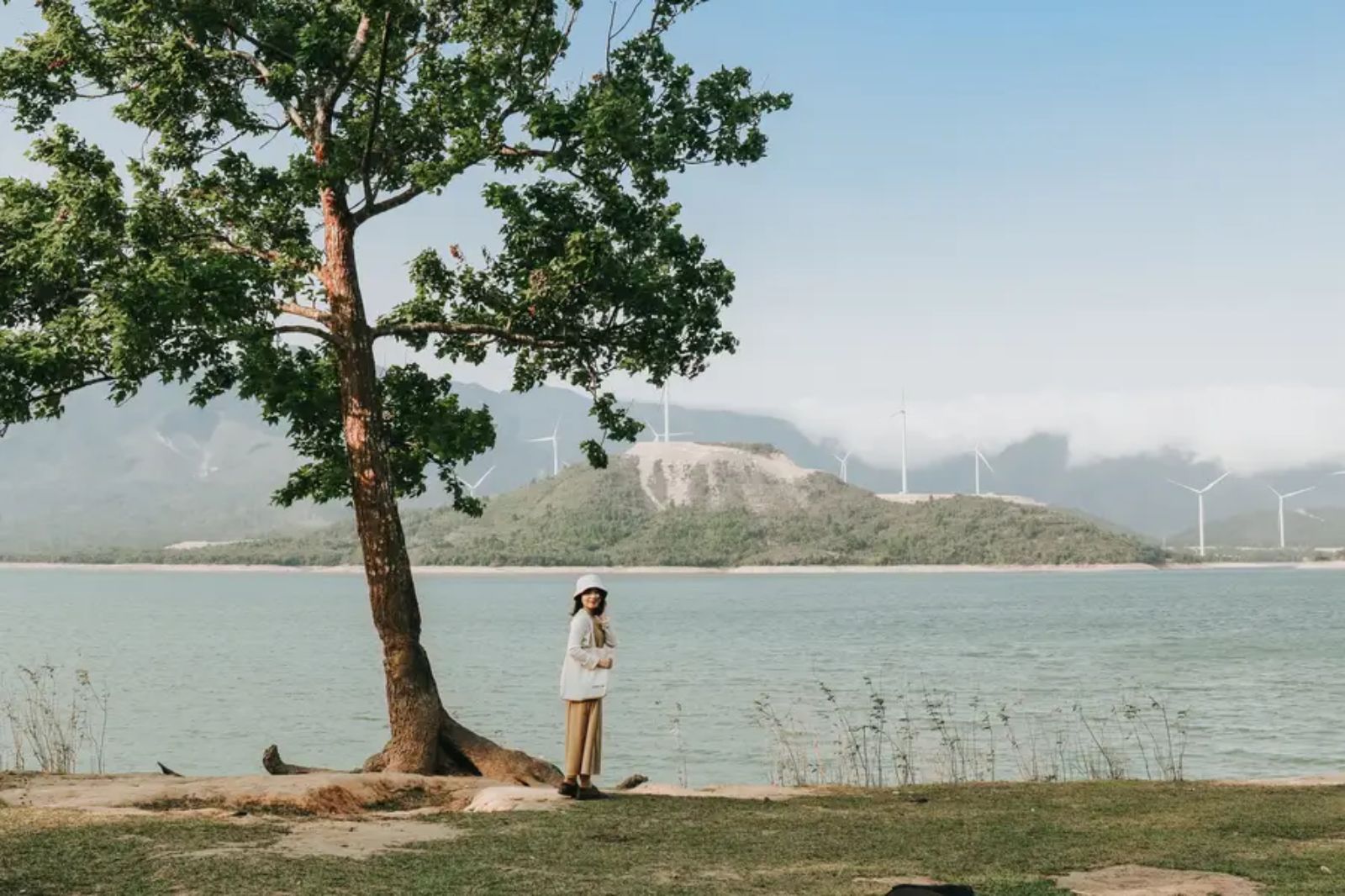 Check-in cây cô đơn 