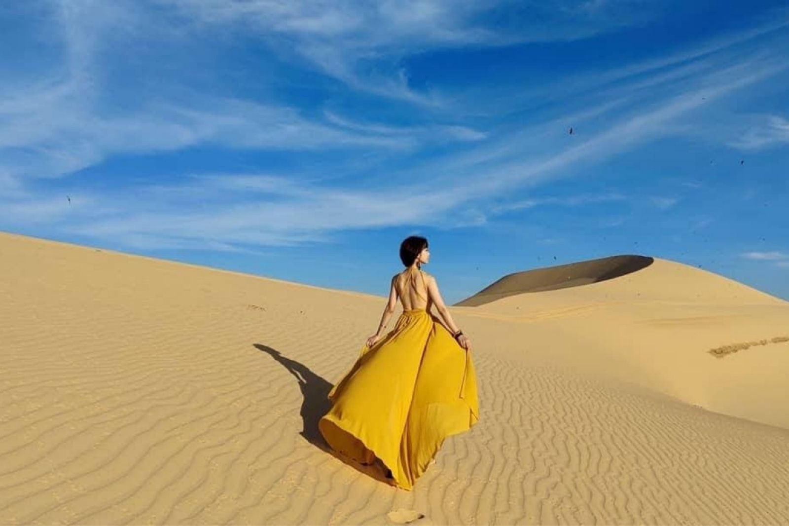 Check-in tại Đồi cát Quang Phú đẹp như điện ảnh