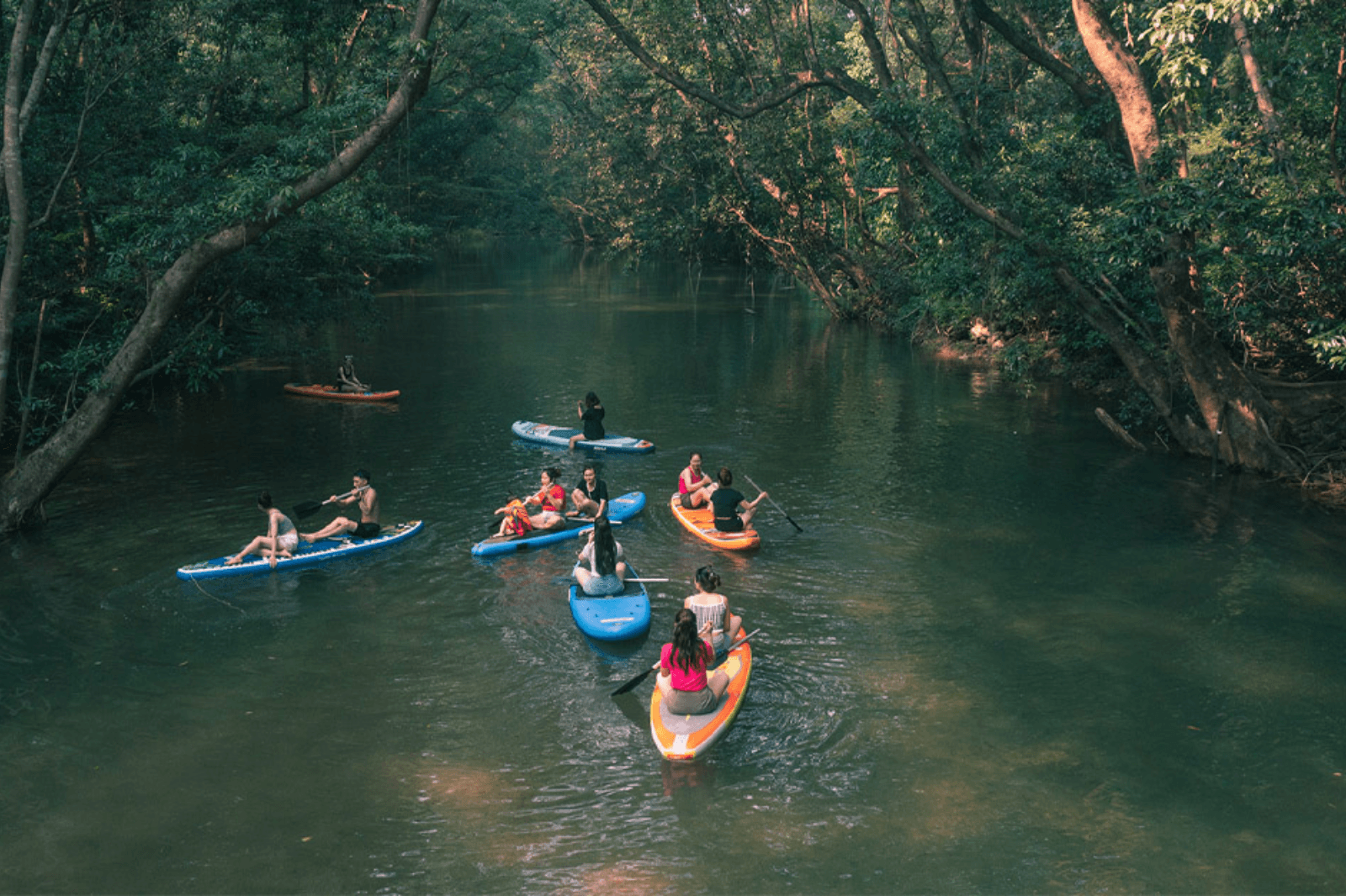 Chèo Kayak dưới sông