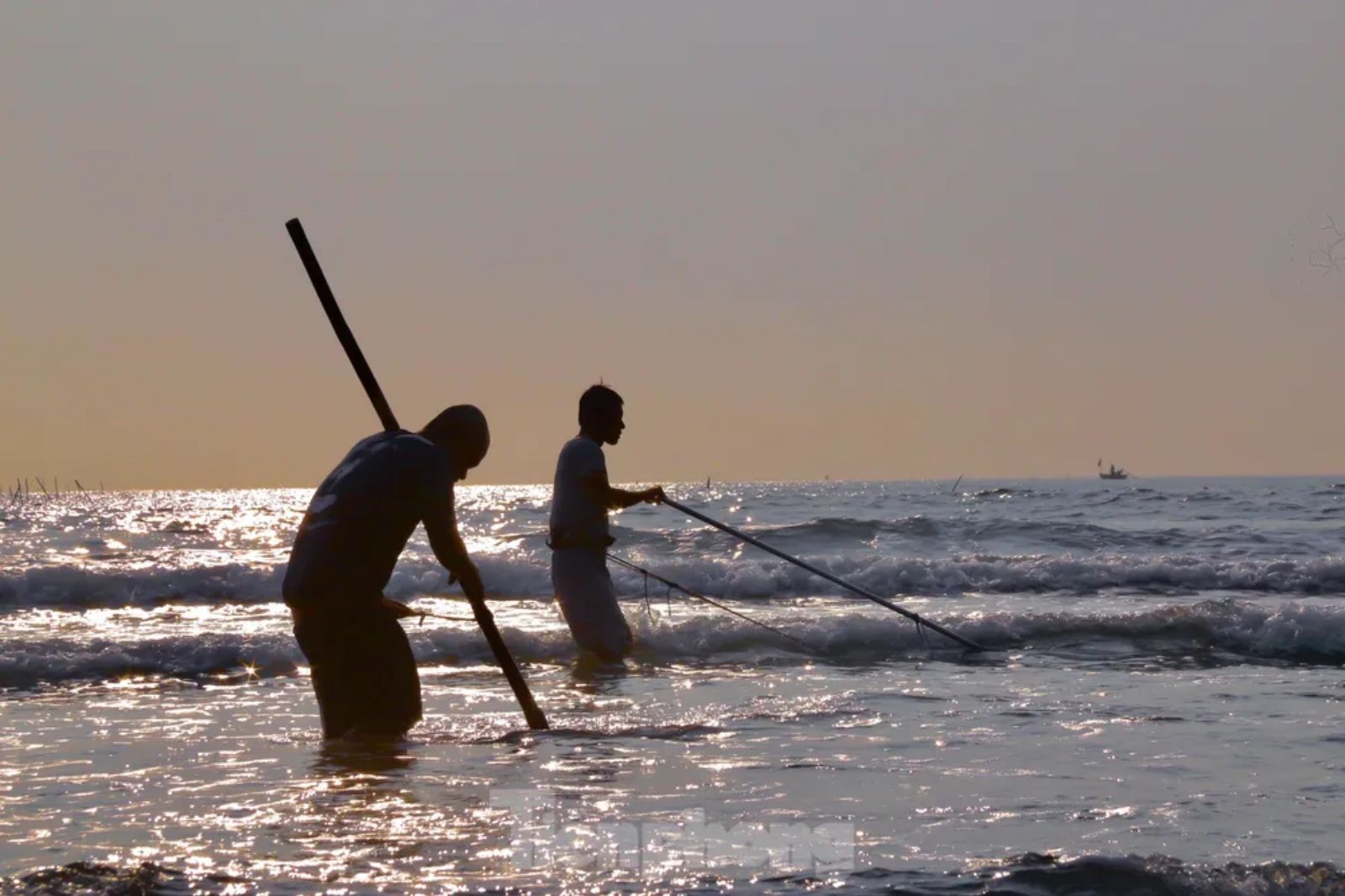 Chiếc cào làm bằng cán gỗ dài chừng m2