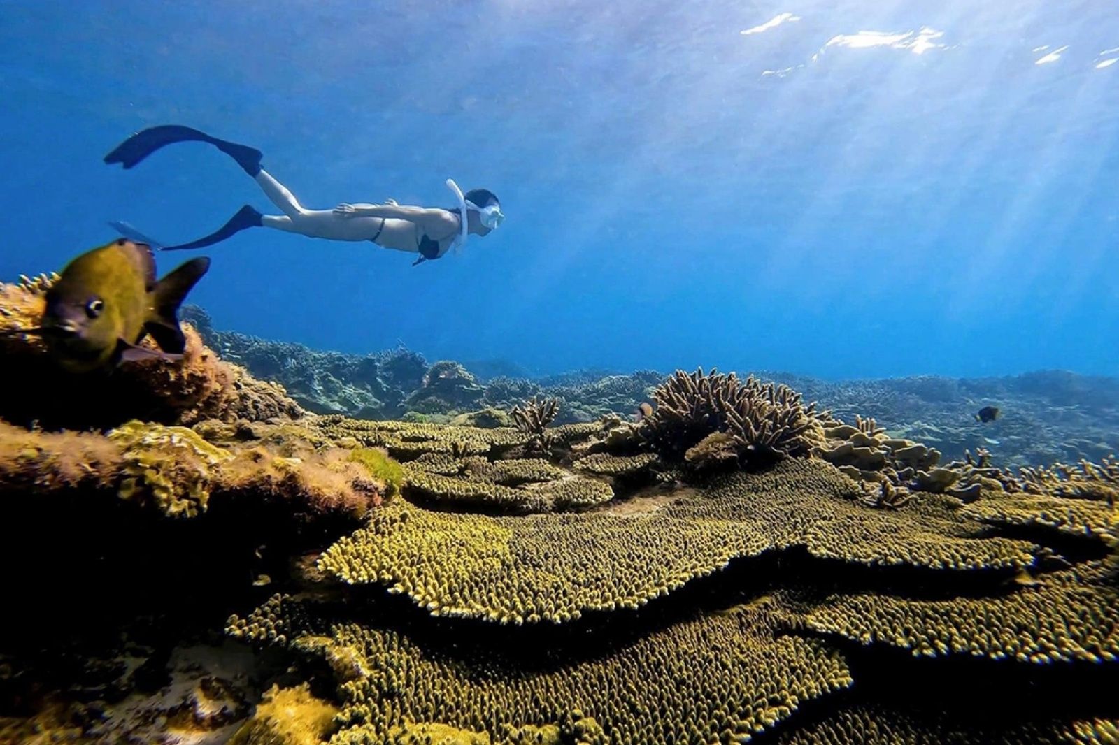 Chuẩn bị đầy đủ trang phục và dụng cụ để ngắm nhìn đại dương bao la