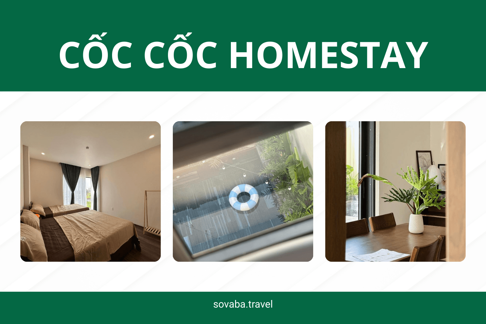 Cốc Cốc Homestay