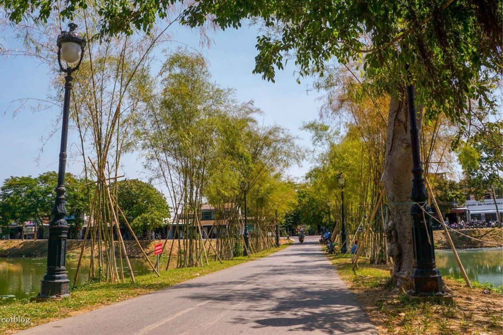 Con đường rợp bóng tre bên hồ