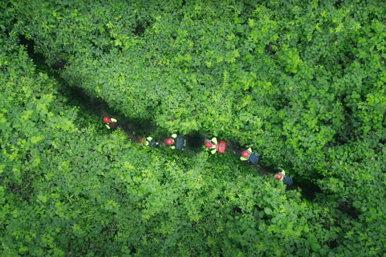 Cung đường trekking bạt ngàn cây xanh 