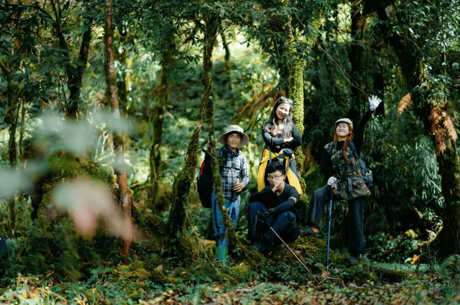 Cung đường trekking đỉnh U Bò