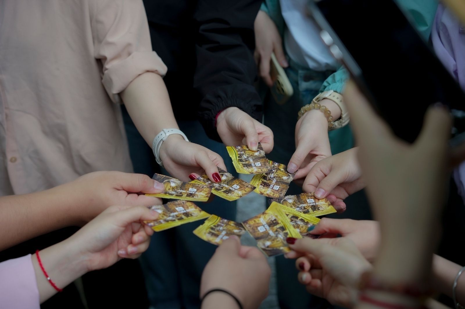 Đã bao gồm vé tham quan trong các tour