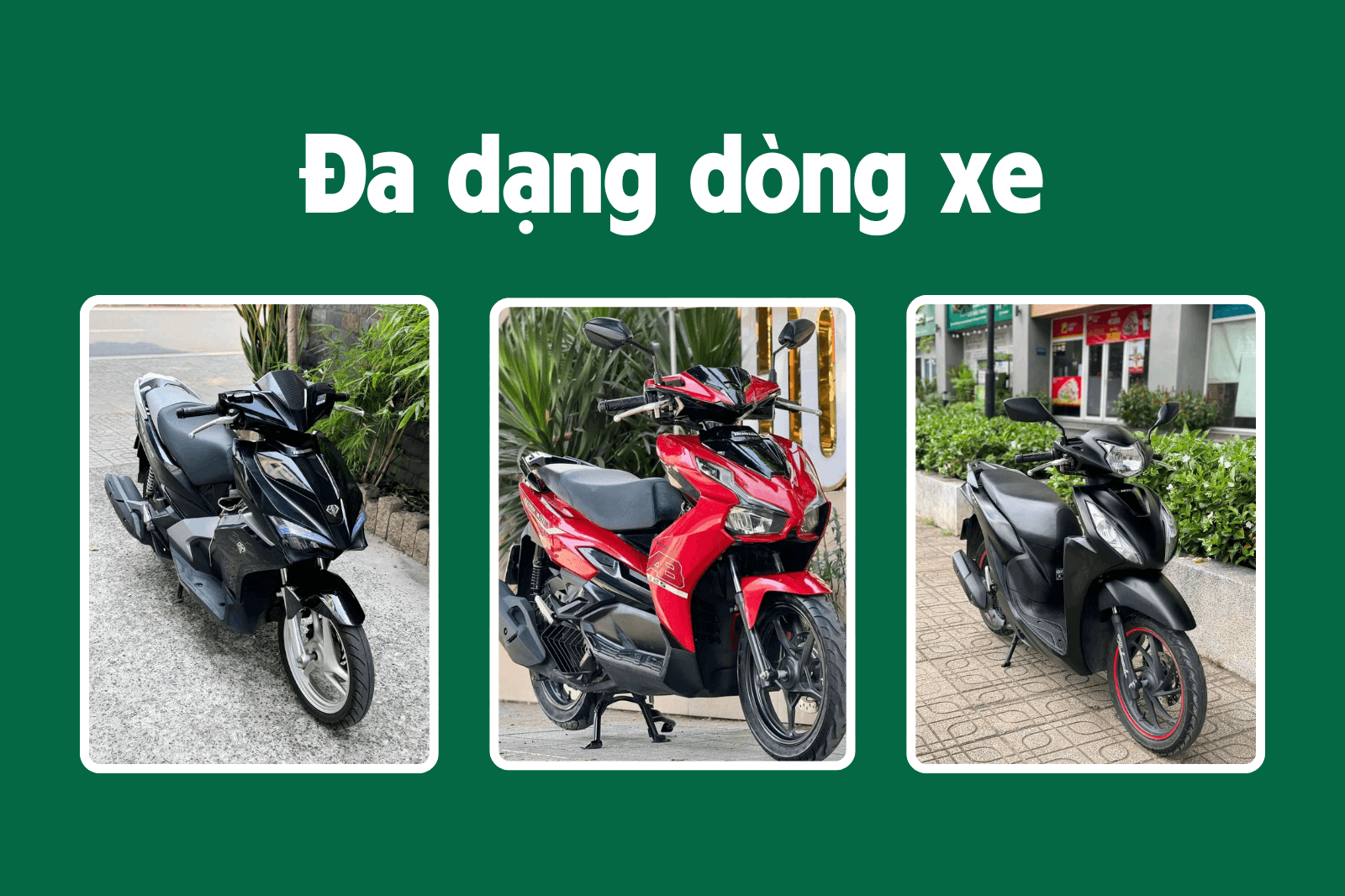 Đa dạng các dòng xe cho thuê