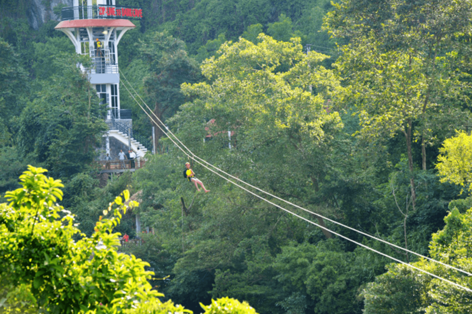 Đài trượt zipline sẽ cách mặt đất vài chục mét 
