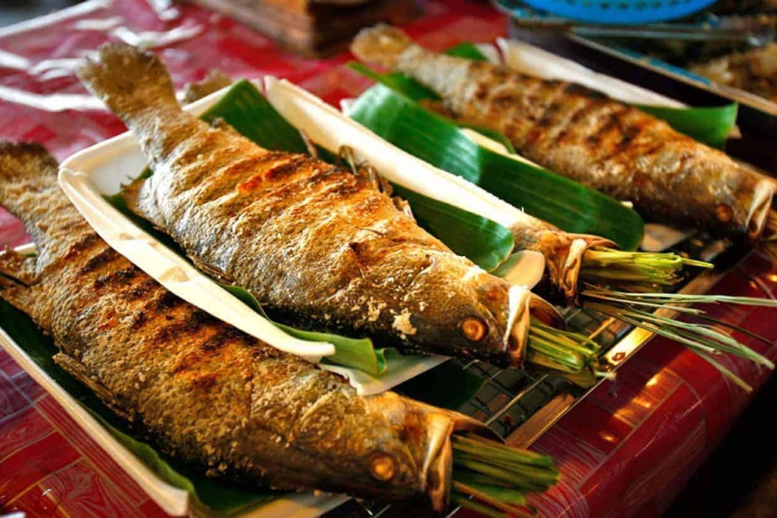 Dịch vụ ăn uống tại Suối Voi