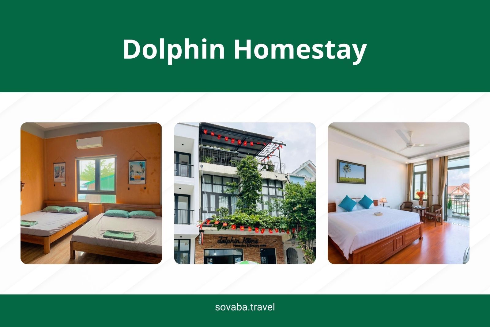Dolphin Homestay