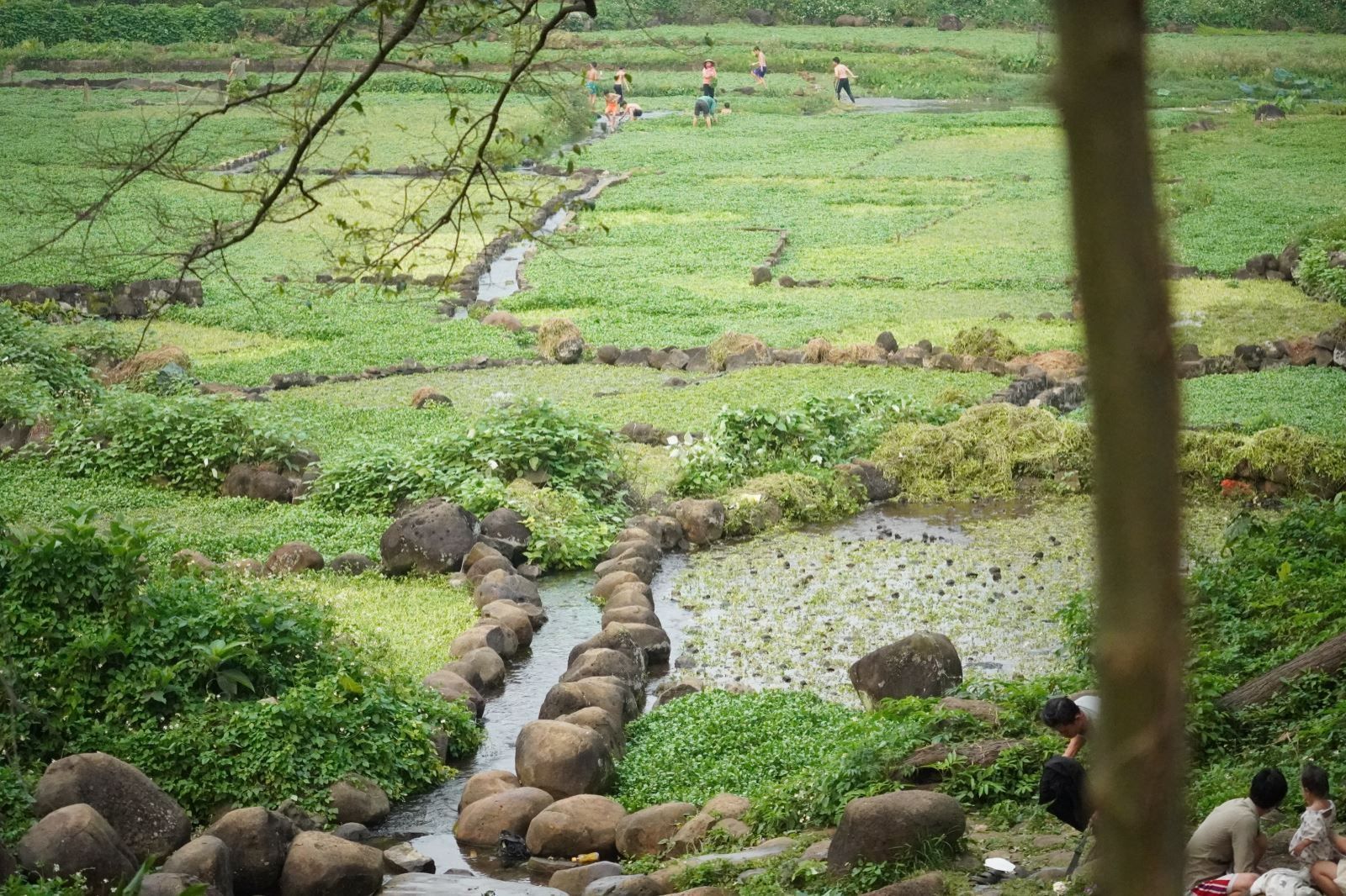 Dòng nước từ hệ thống giếng cổ 