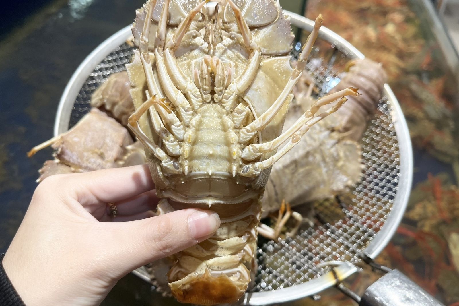 Du khách đến Phú Quốc đừng quên thử món tôm mũ ni