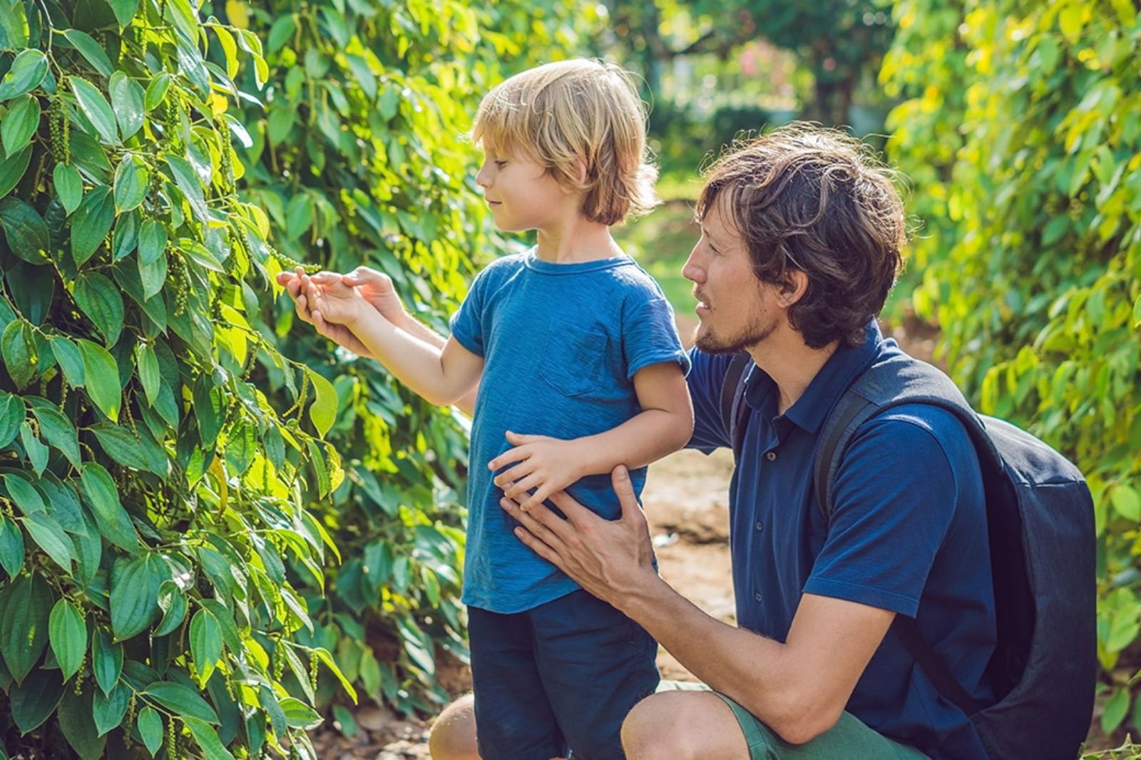 Du khách ghé thăm vườn tiêu ở Phú Quốc