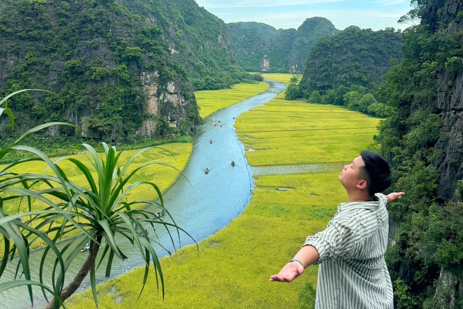 Đừng bỏ lỡ mùa lúa chín vàng ở Tam Cốc khi đến Ninh Bình