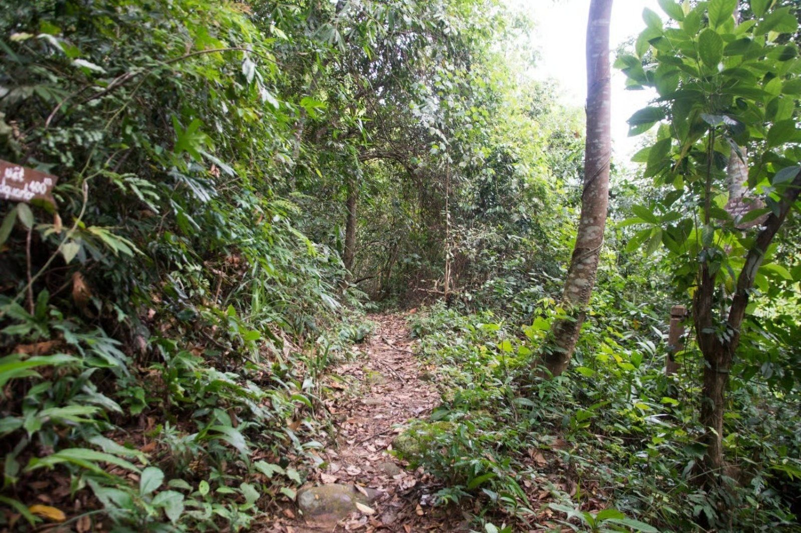 Đường mòn trekking dài khoảng 4km
