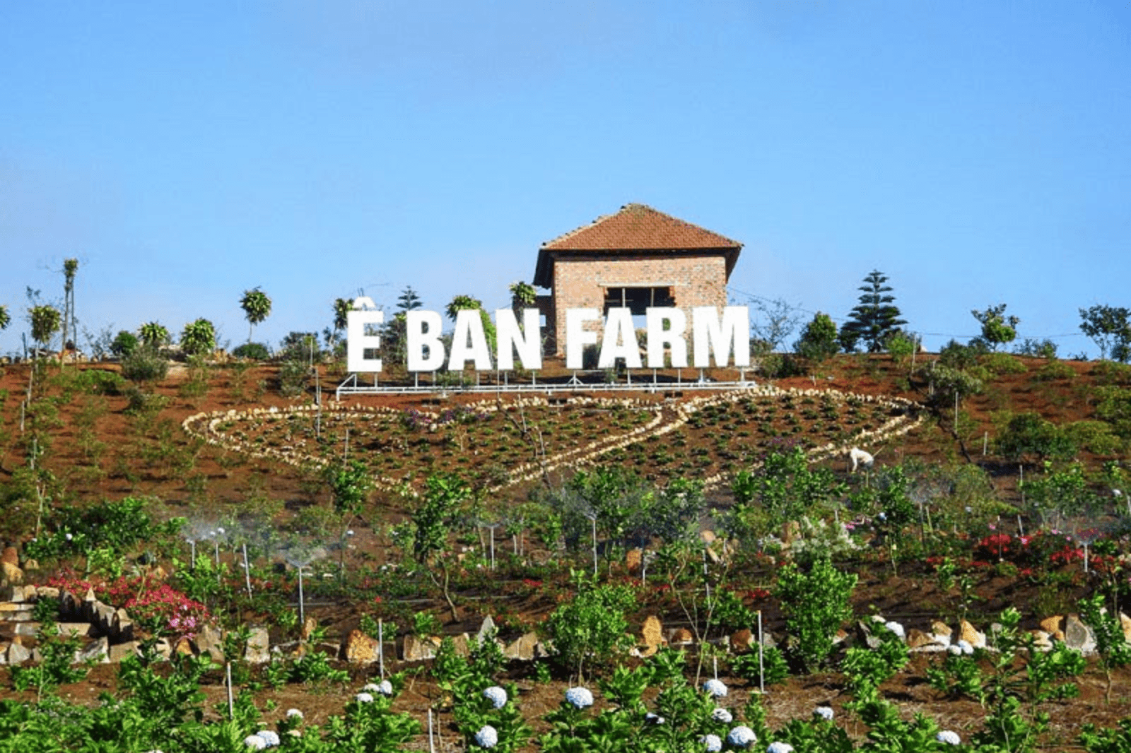 Ê-Ban-Farm-Măng-Đen