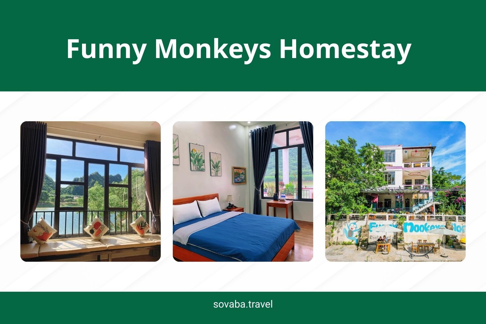 Funny Monkeys Homestay