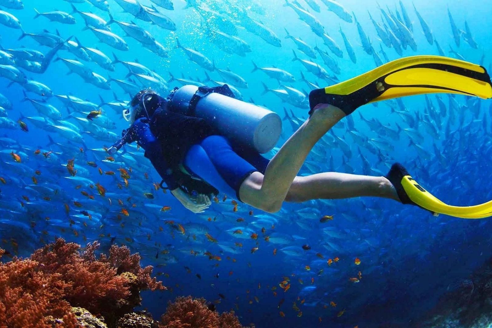 Ghềnh Bàng là điểm đến phù hợp cho hoạt động lặn ngắm san hô