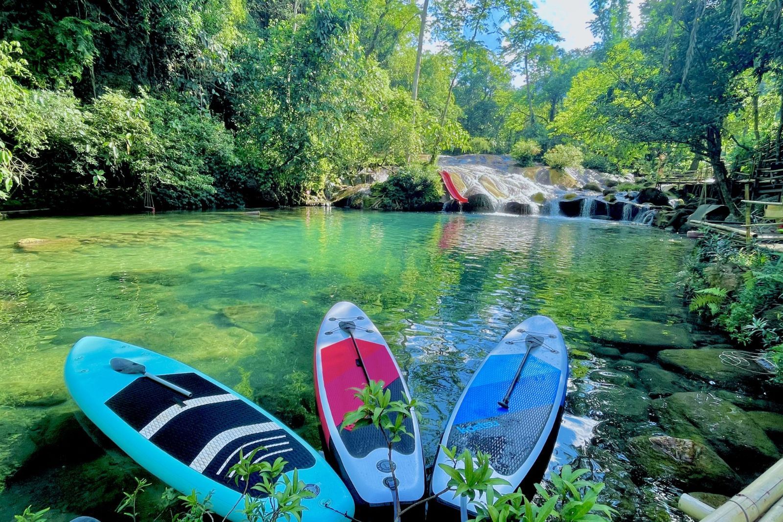 Hai bên con suối là những tán cây rậm rạp