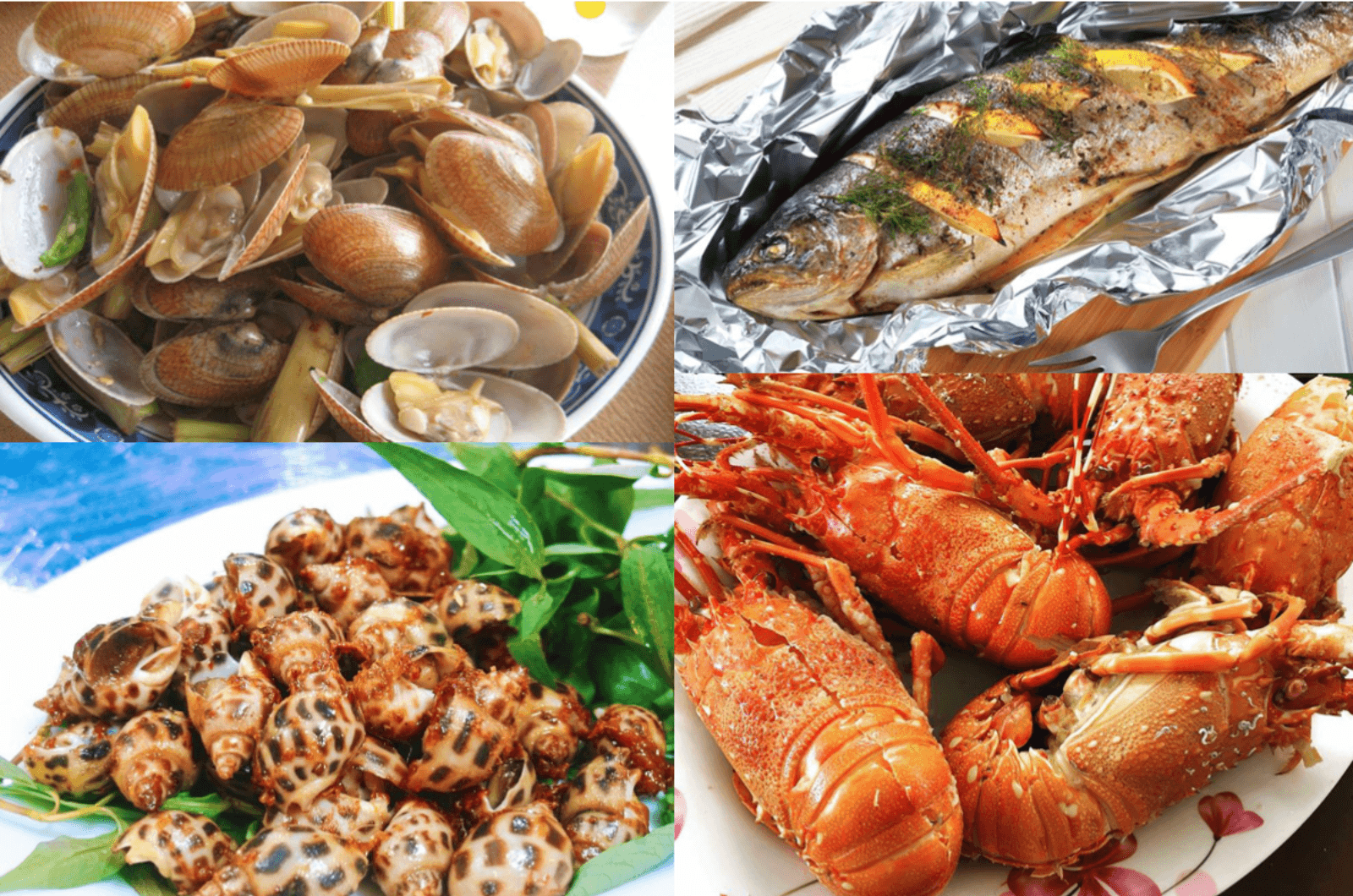 Hải sản của Quảng Bình có sự đa dạng khiến du khách không khỏi thích thú
