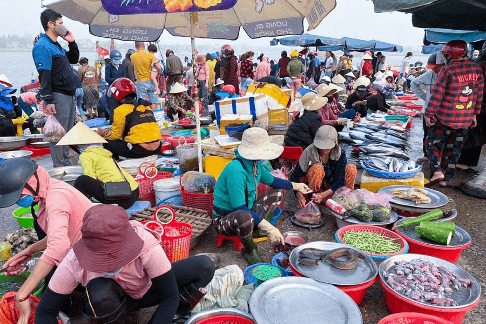 Hải sản ở chợ lúc nào cũng tươi sống 