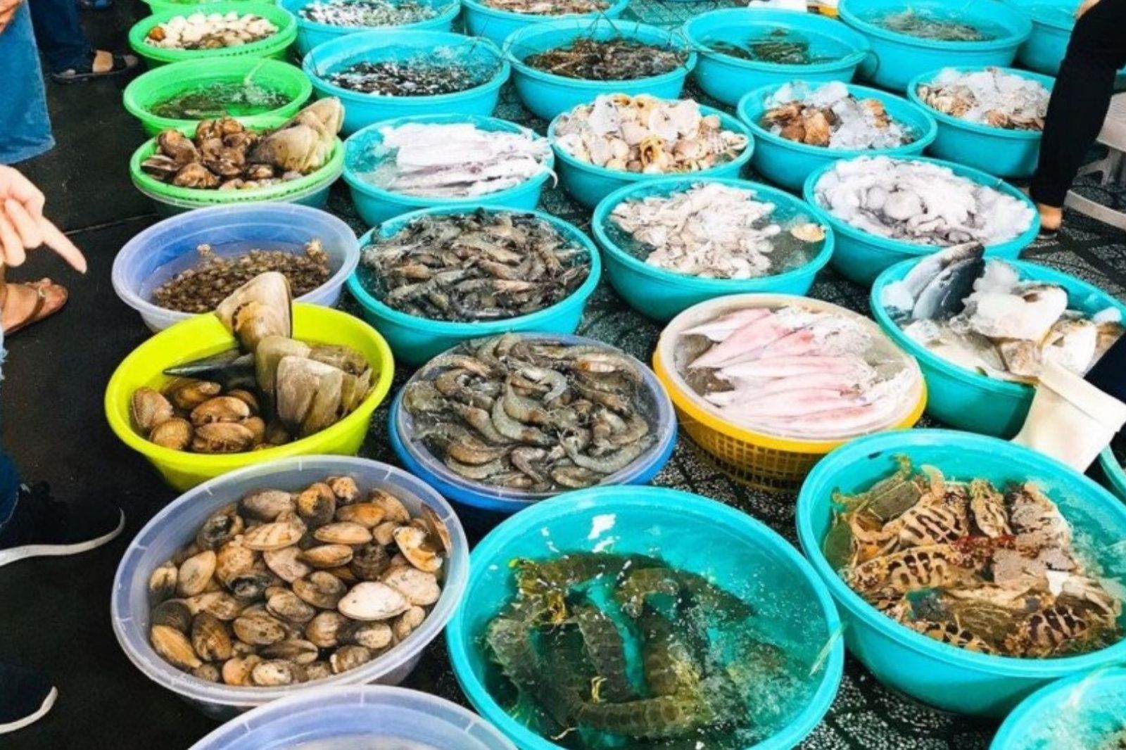 Hải sản tươi rói ở Gành Dầu khiến du khách thích thú