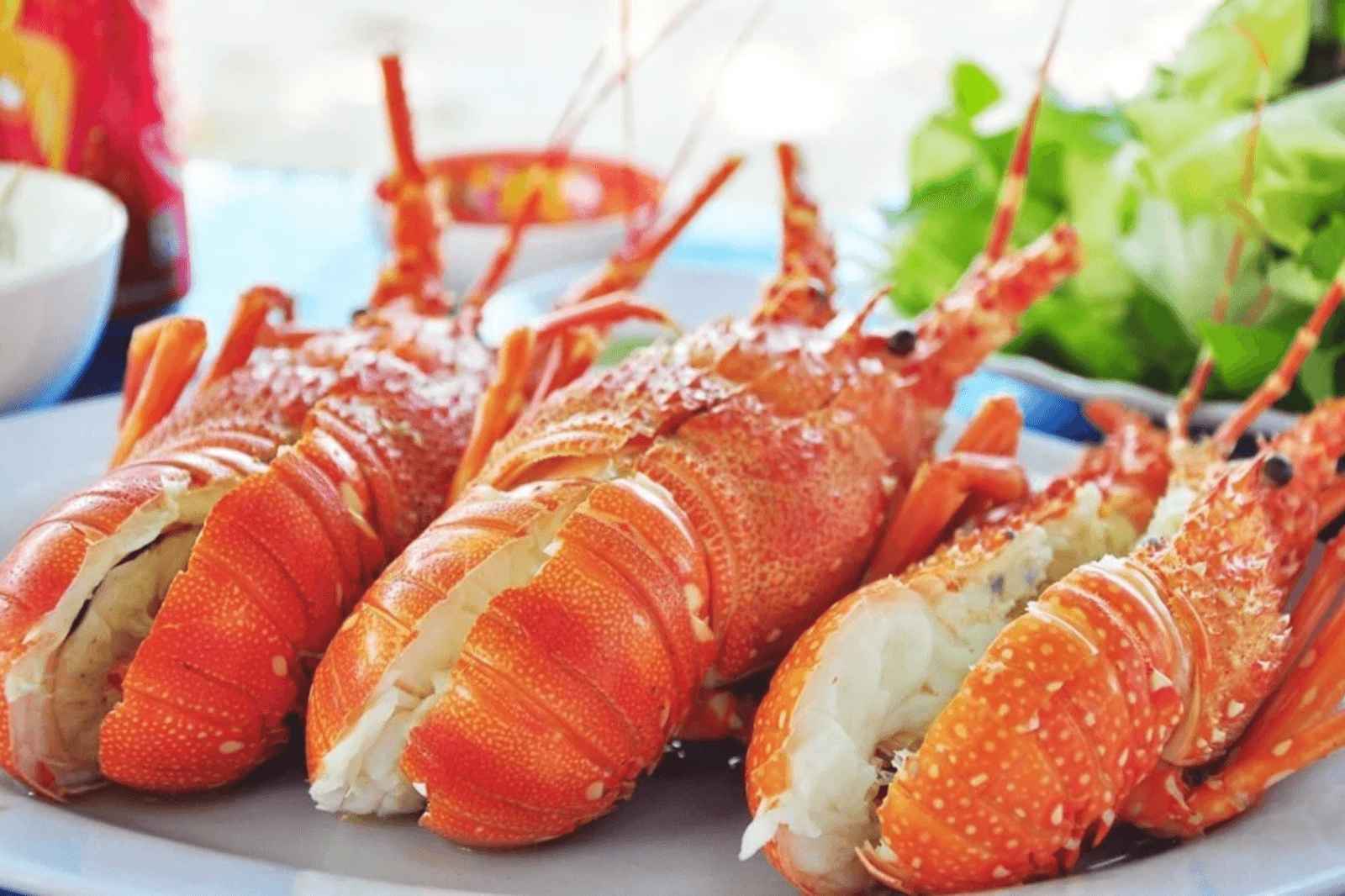 Hải sản tươi sống ở biển