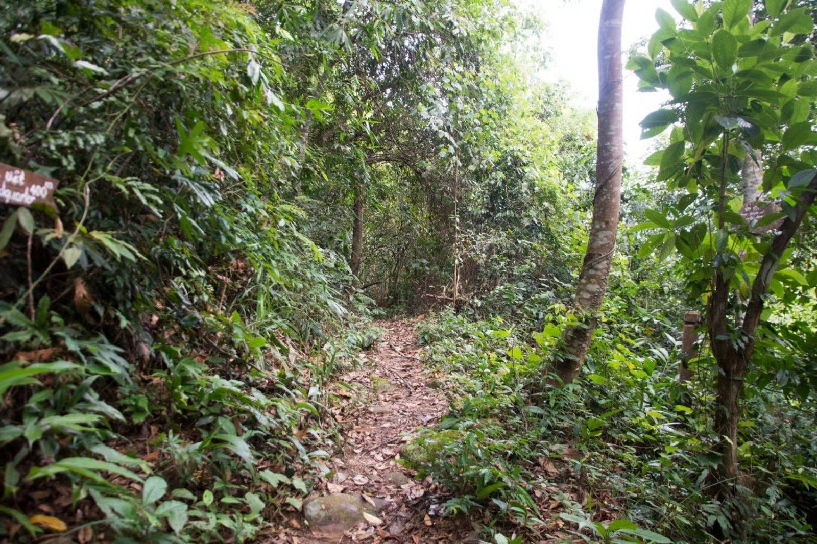 Hành trình trekking tuyệt vời giữa thiên nhiên hoang sơ