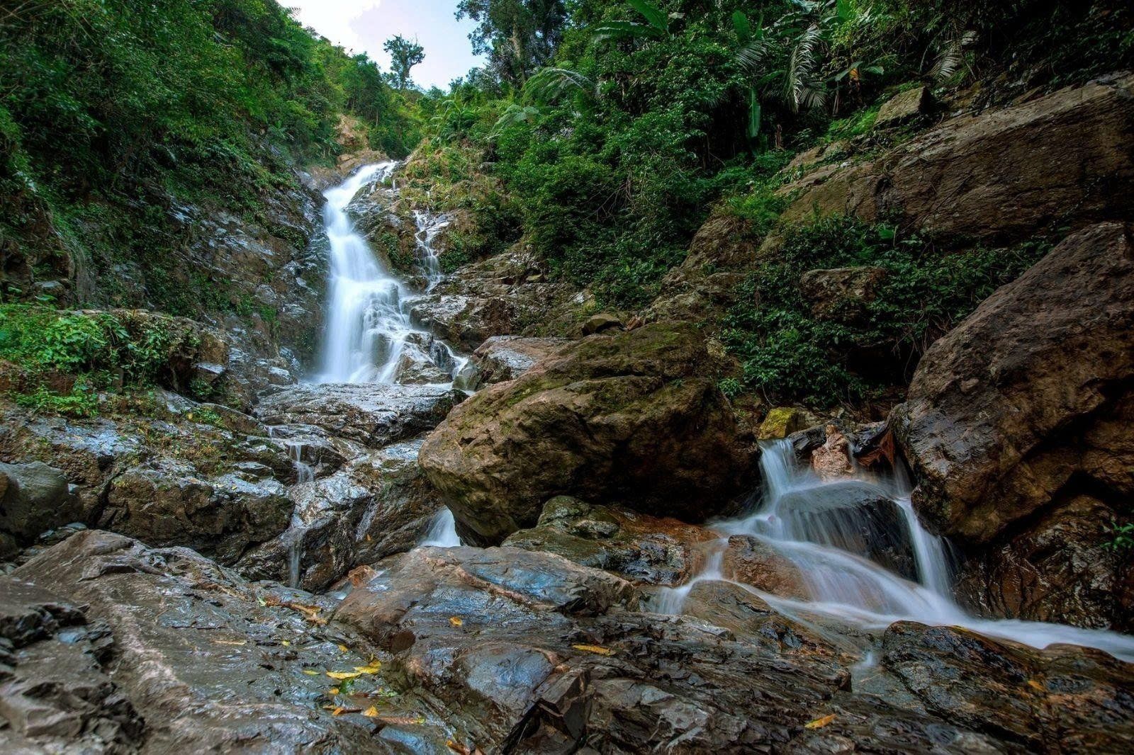 Hãy cùng chung tay bảo vệ hệ sinh thái