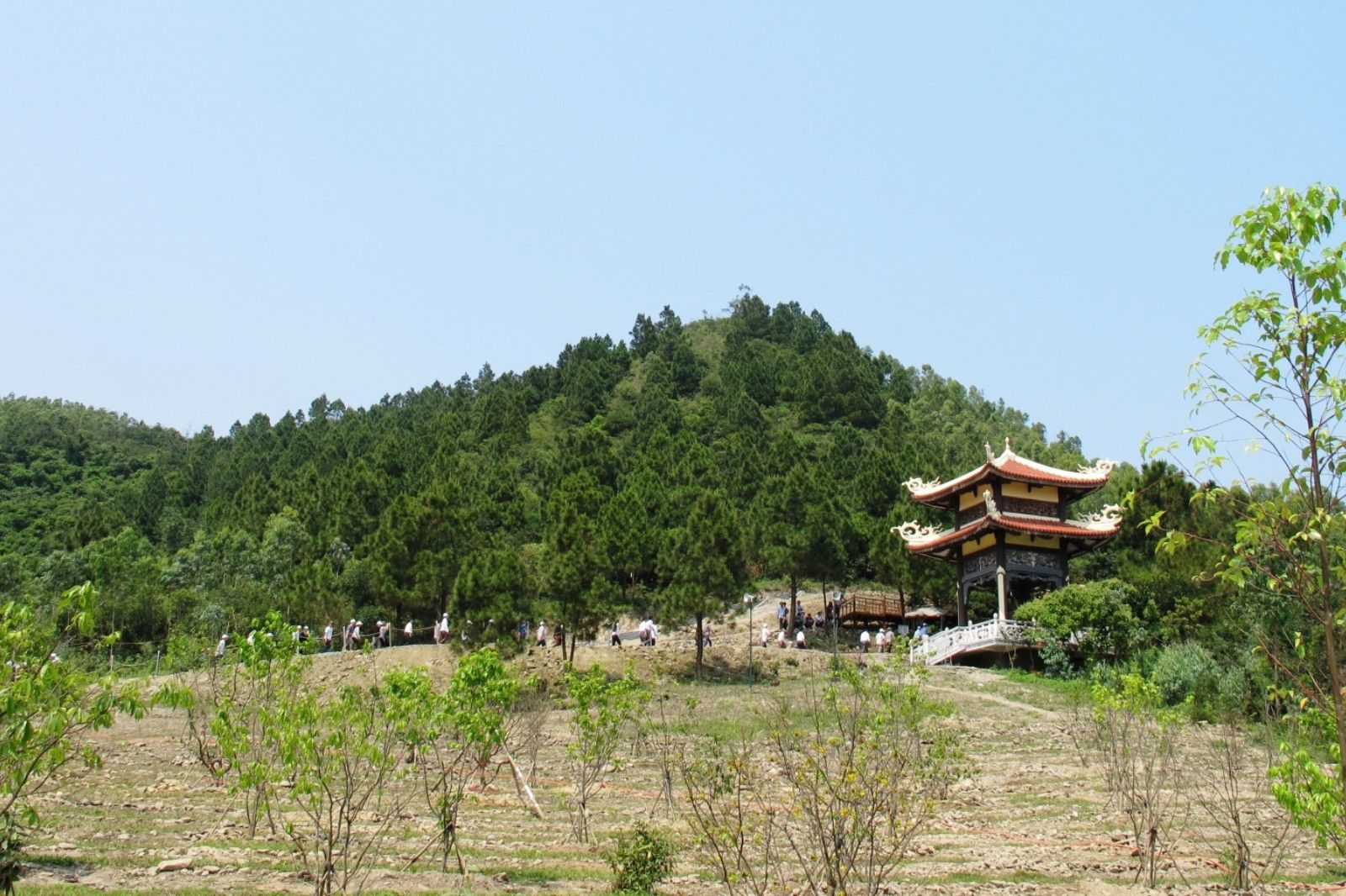 Hệ thực vật đa dạng ở Vũng Chùa