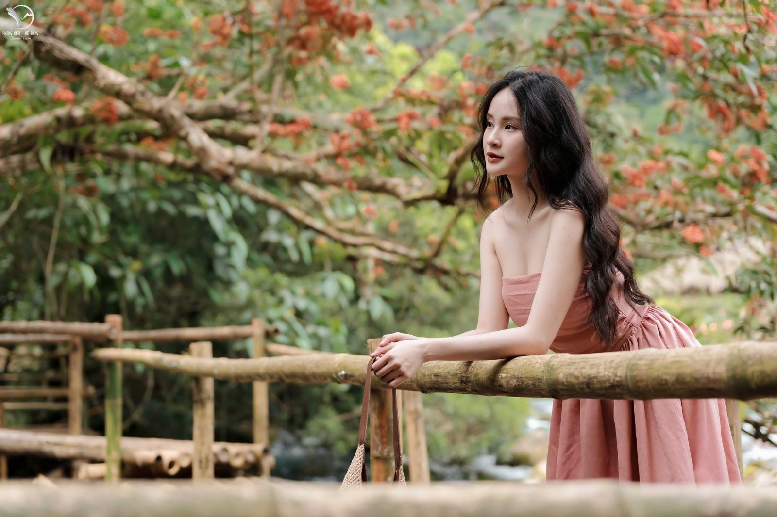 Hoa vàng anh - Biểu tượng mùa xuân của suối nước Moọc