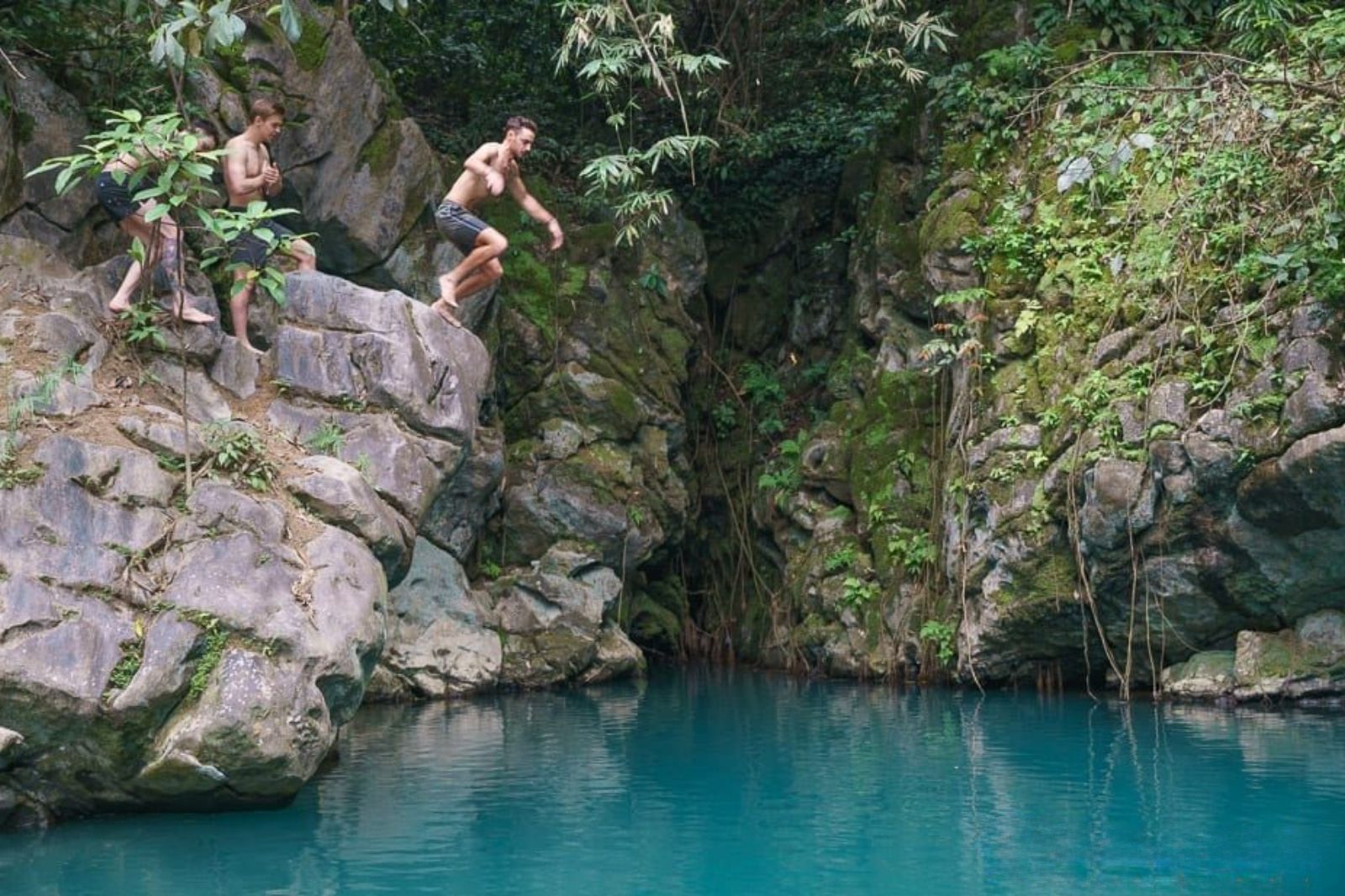 Hoạt động yêu thích nhất là nhảy từ các mỏm đá xuống