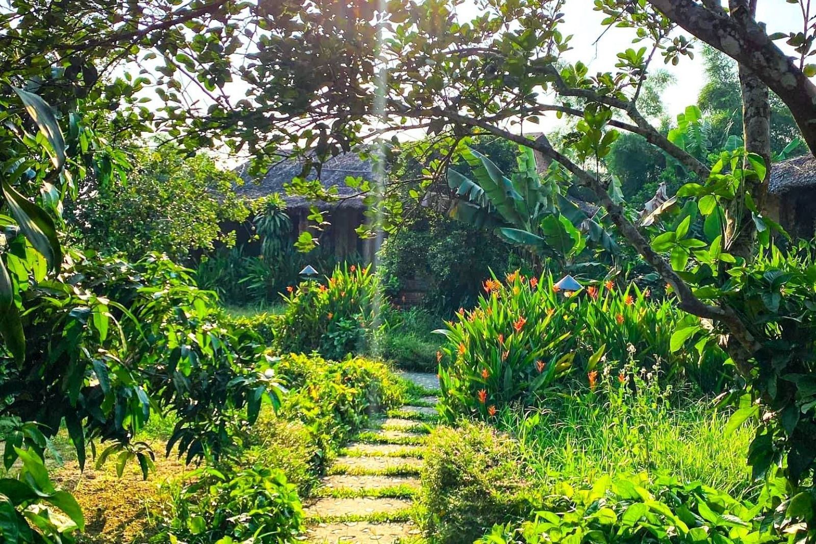 Homestay sinh thái Hue Ecolodge