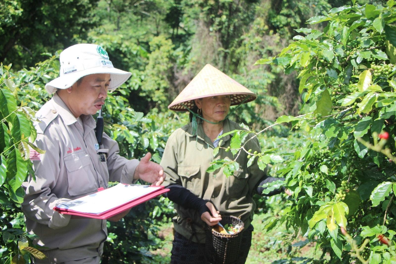 Hướng Phùng - Vùng đất di sản tiềm năng nông nghiệp