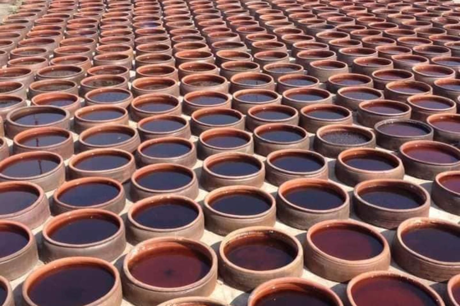 Hương vị biển cả và tinh hoa nghề truyền thống