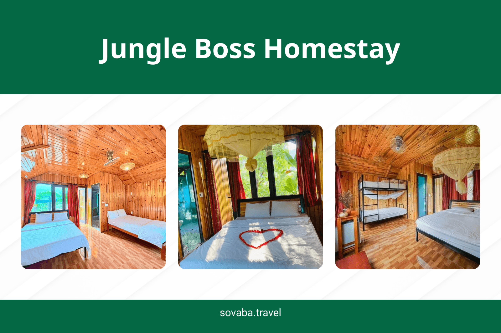 Jungle Boss Homestay